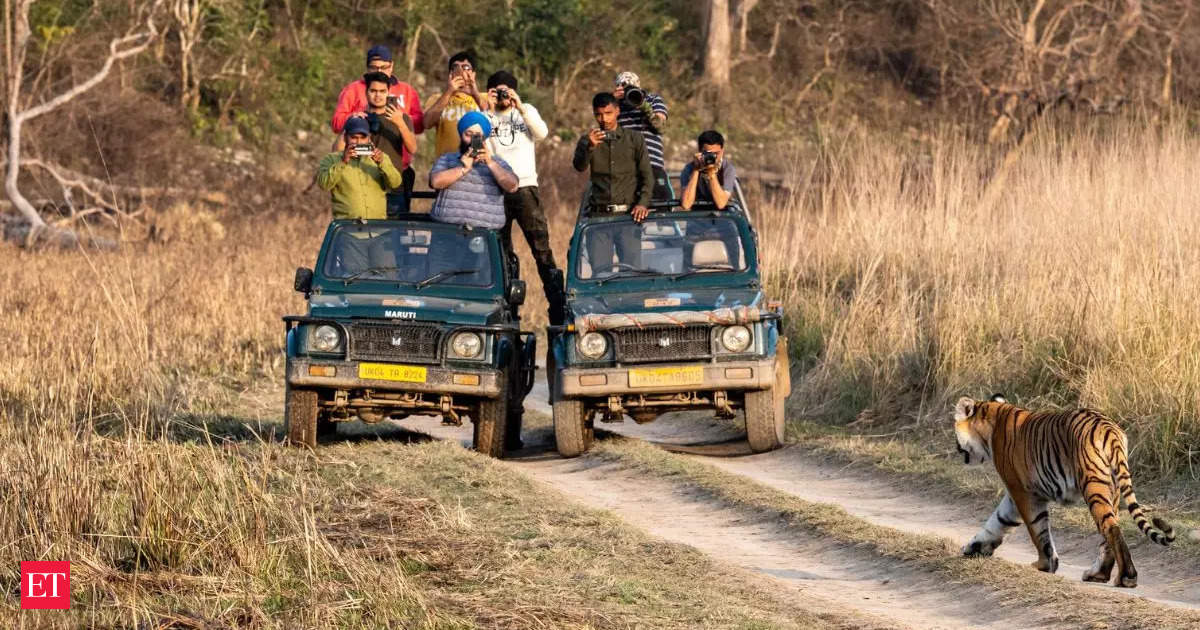 Tiger Safari banned in Corbett? Here’s what SC said