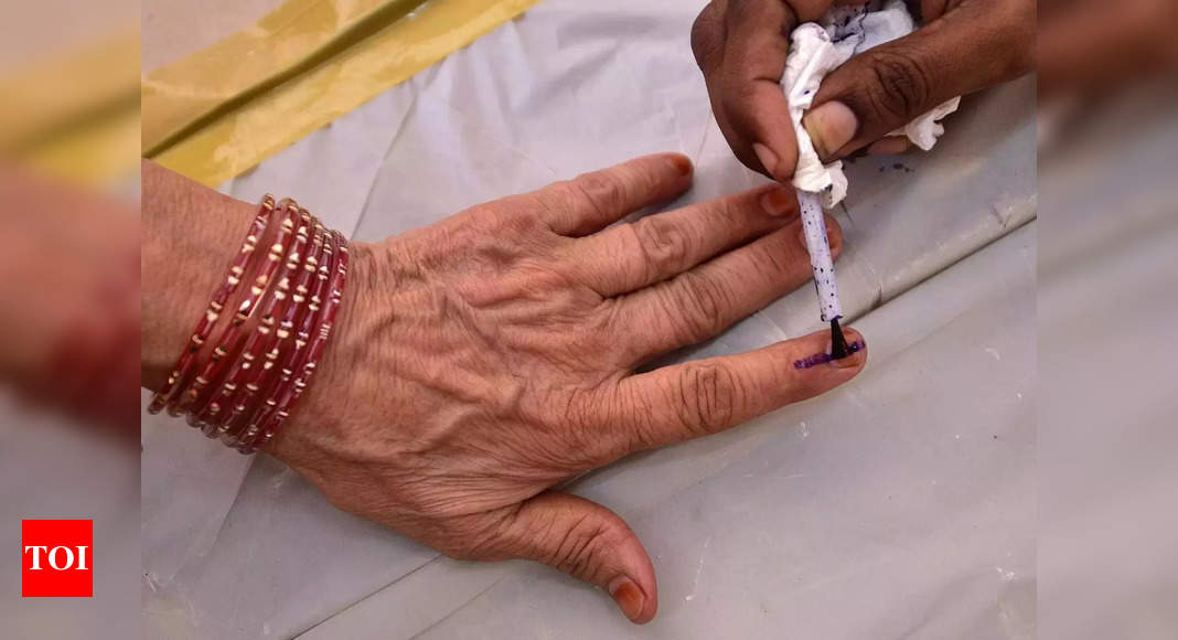 India’s Only Indelible Ink Supplier Gears Up for Lok Sabha Elections