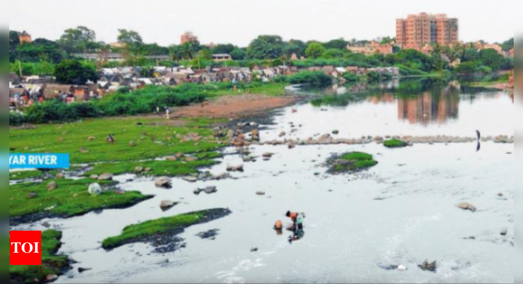 Chennai to Restore Adyar River with ₹4,227 Crore Project