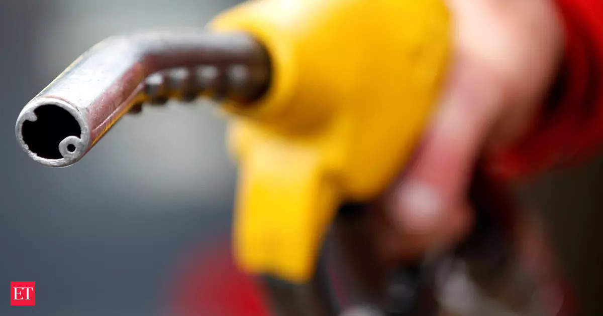 Petrol Prices Highest in Andhra Pradesh, Kerala, and MP, Bihar Close Behind