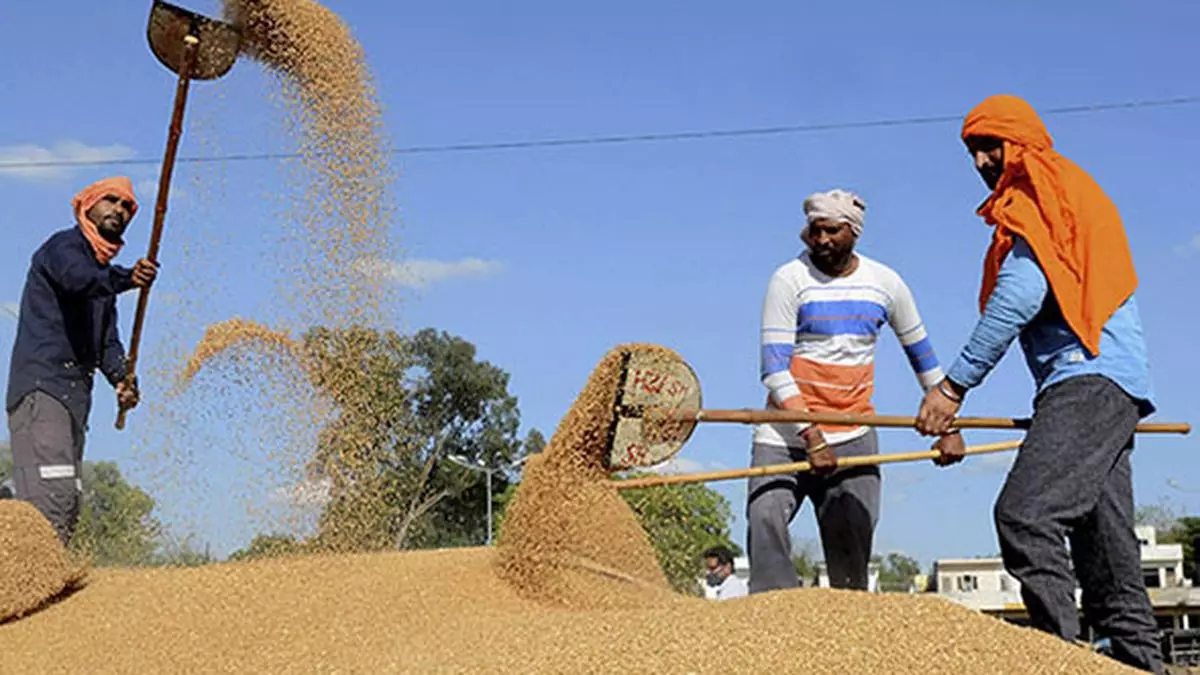 Government instructs traders and stockists not to enter market till May; processors in UP asked to purchase hand-to-mouth