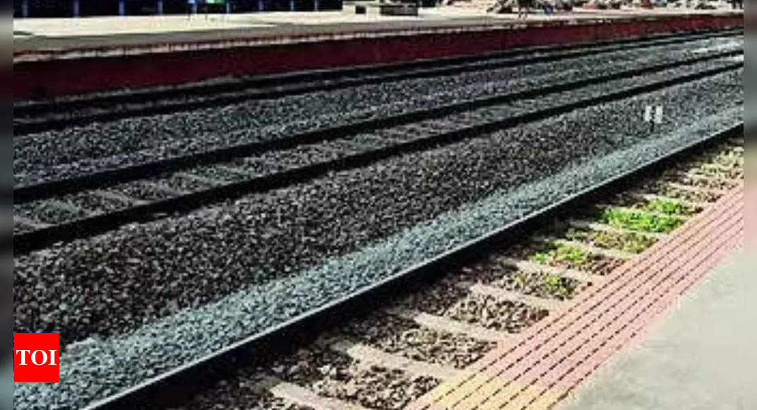 Two Elderly Women Slip off Platform at Faridabad Station, Crushed by Goods Train