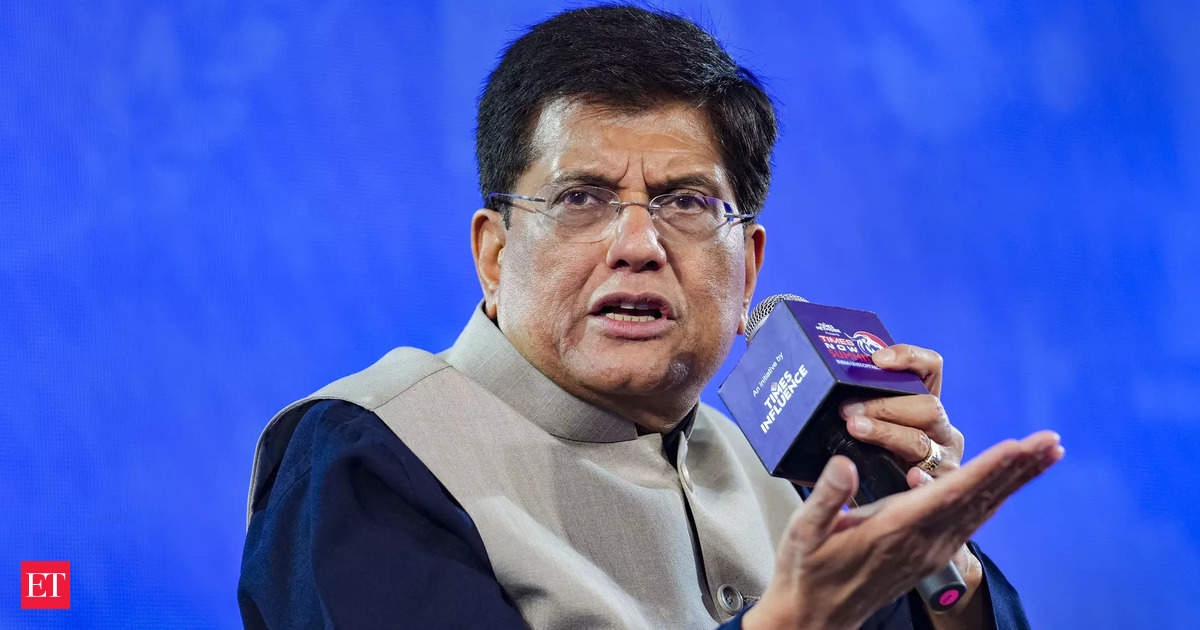 People Will Have to Pay for Their Wrongdoings, Says Piyush Goyal