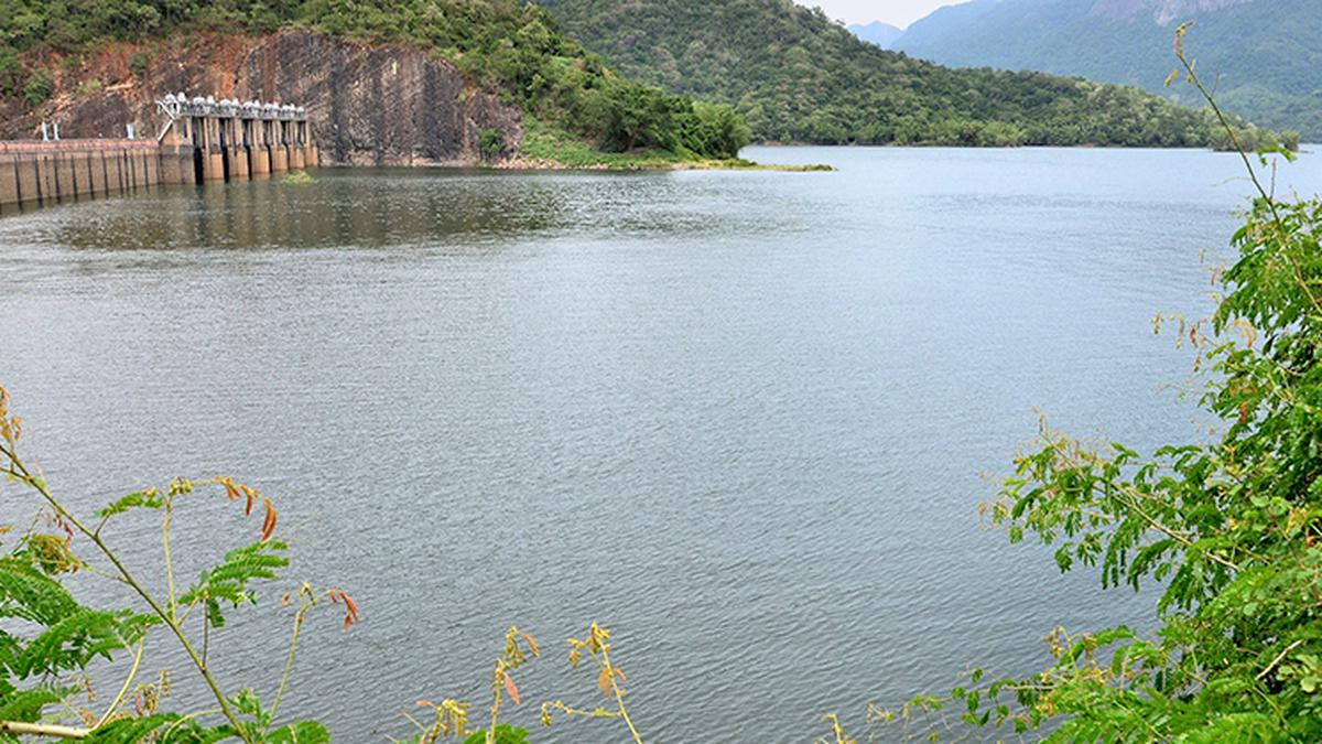 Water level in Papanasam Dam stands at 6,135 feet