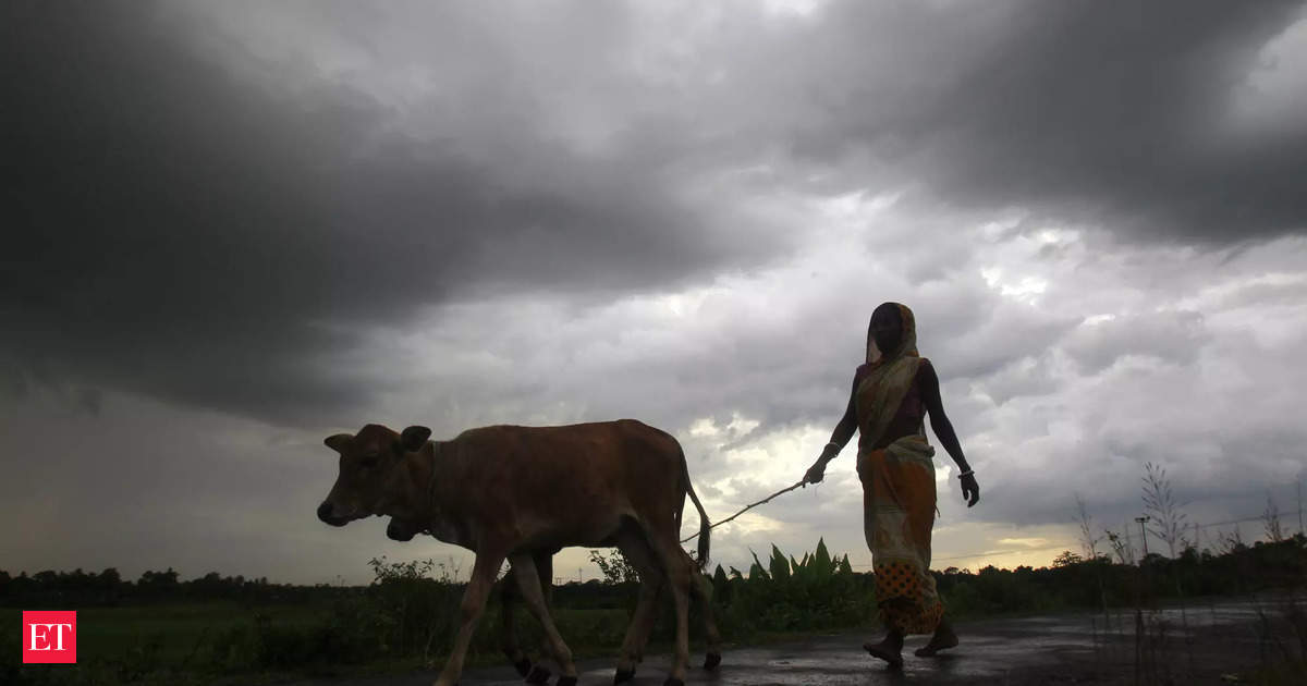 India Meteorological Department Forecasts “Above Normal” Rain for Monsoon Season