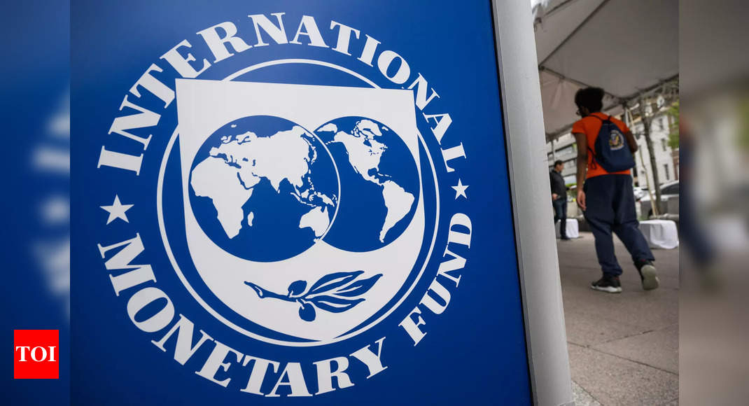 IMF-World Bank Steering Committee Stresses Accountability as Reforms Advance