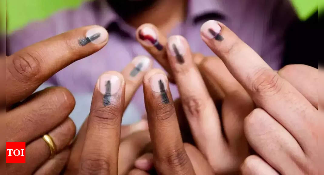 Delhi’s Eastern Neighbourhood Votes in Second Phase of Lok Sabha Polls