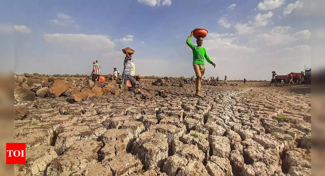 Karnataka Receives Funding for Drought Relief, Falls Short of Demand