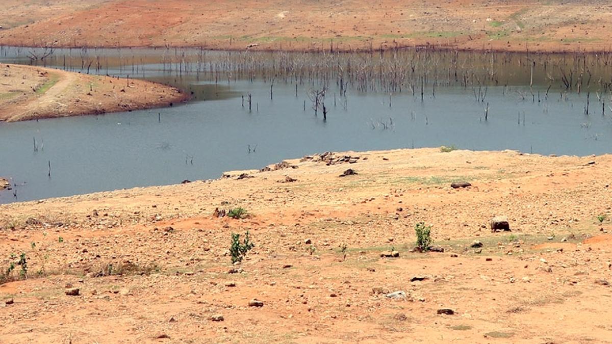 Southern India Grapples with Severe Water Scarcity as Reservoir Levels Plummet