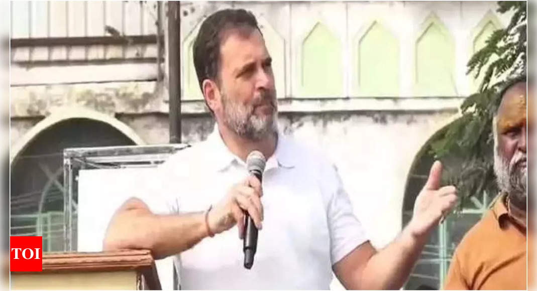 Rahul Gandhi: Rae Bareli is the Karmabhoomi of Both My Mothers