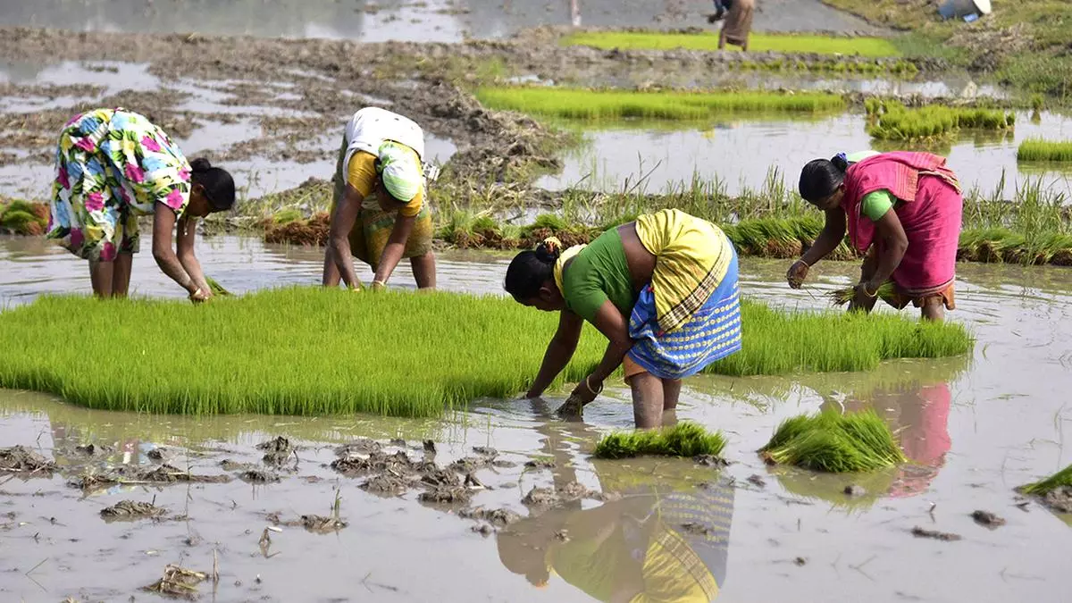 Addressing Setbacks and Emphasising Stakeholder Engagement in Farm Reforms