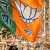 BJP may field minority candidates in Gujarat polls